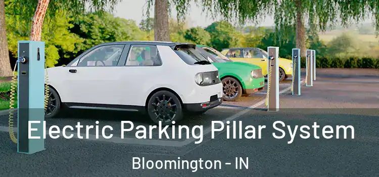 Electric Parking Pillar System Bloomington - IN