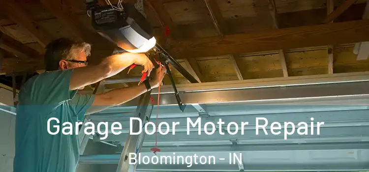  Garage Door Motor Repair Bloomington - IN