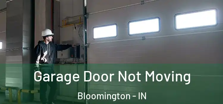  Garage Door Not Moving Bloomington - IN