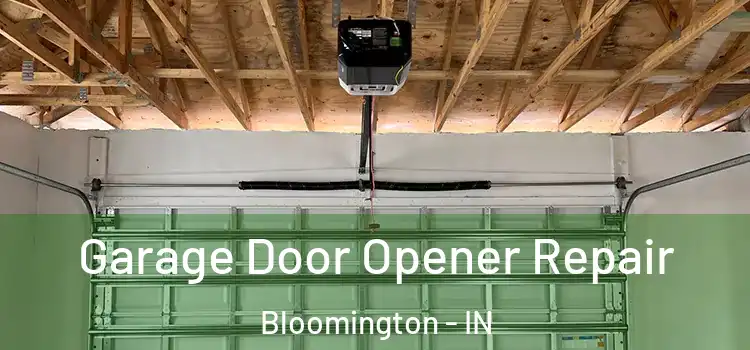  Garage Door Opener Repair Bloomington - IN