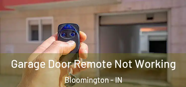  Garage Door Remote Not Working Bloomington - IN