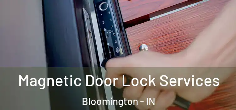  Magnetic Door Lock Services Bloomington - IN