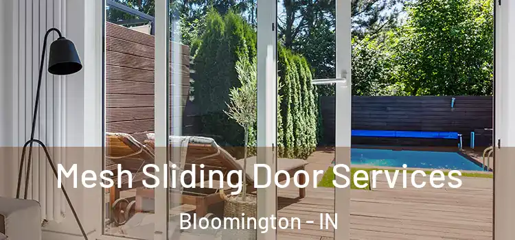  Mesh Sliding Door Services Bloomington - IN
