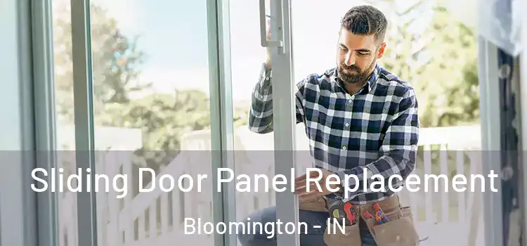  Sliding Door Panel Replacement Bloomington - IN