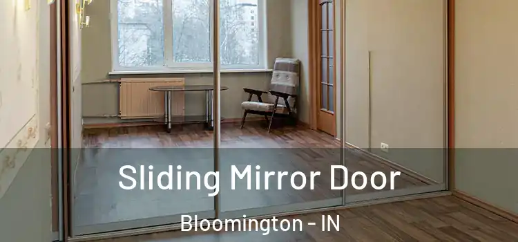  Sliding Mirror Door Bloomington - IN